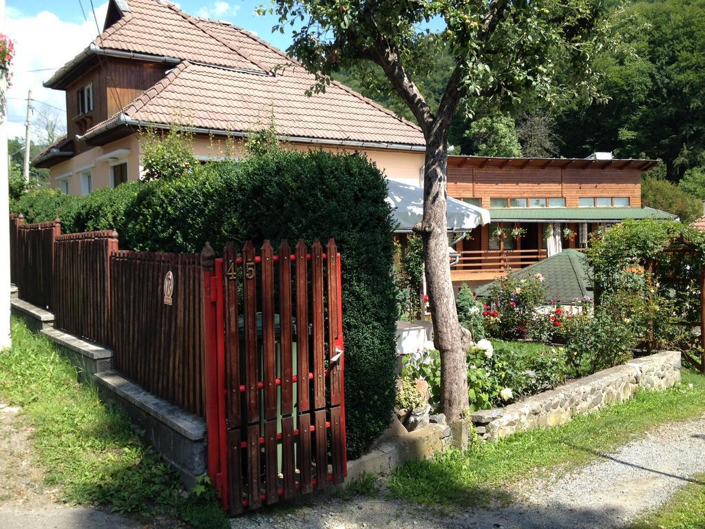 Casa Katona Apartment Sovata Ngoại thất bức ảnh